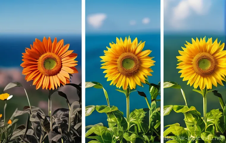 양식업 창업 가이드 - Here are three image prompts in English, designed according to your specifications: